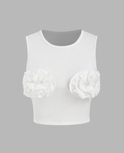 Round Neckline Solid Rosette Crop Top cider