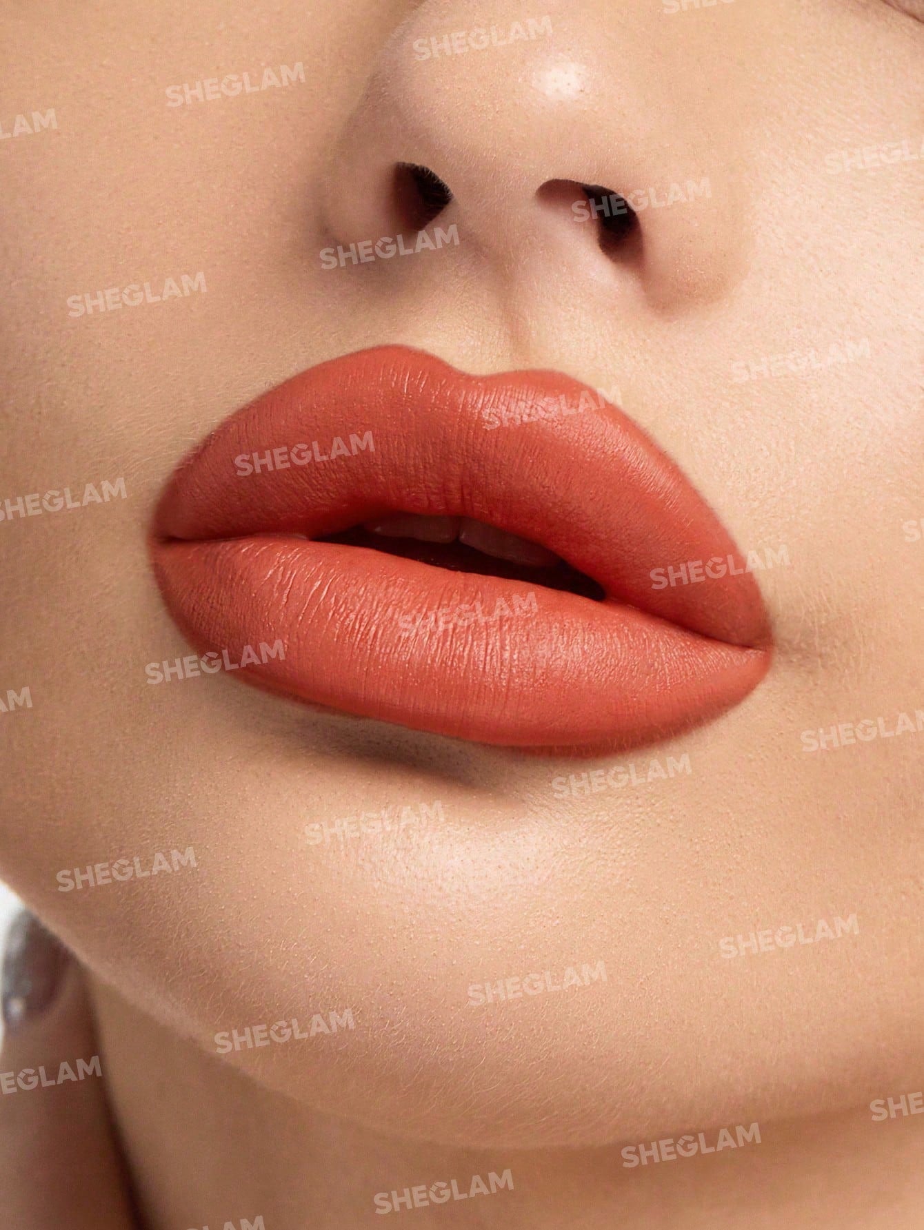 Matte Allure Lipstick-Master Plan SHEGLAM